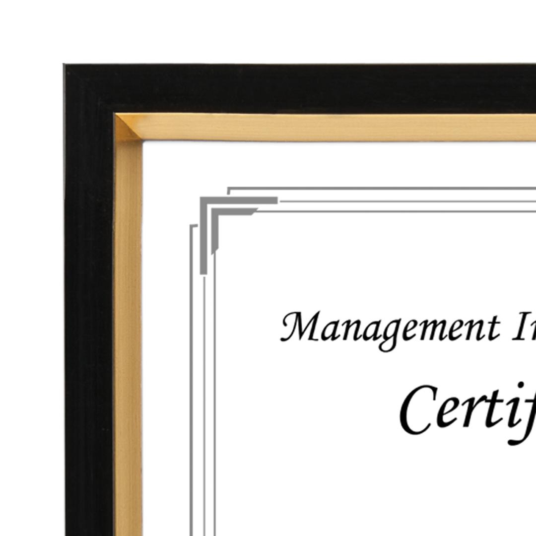 Napier Certificate Frame 4