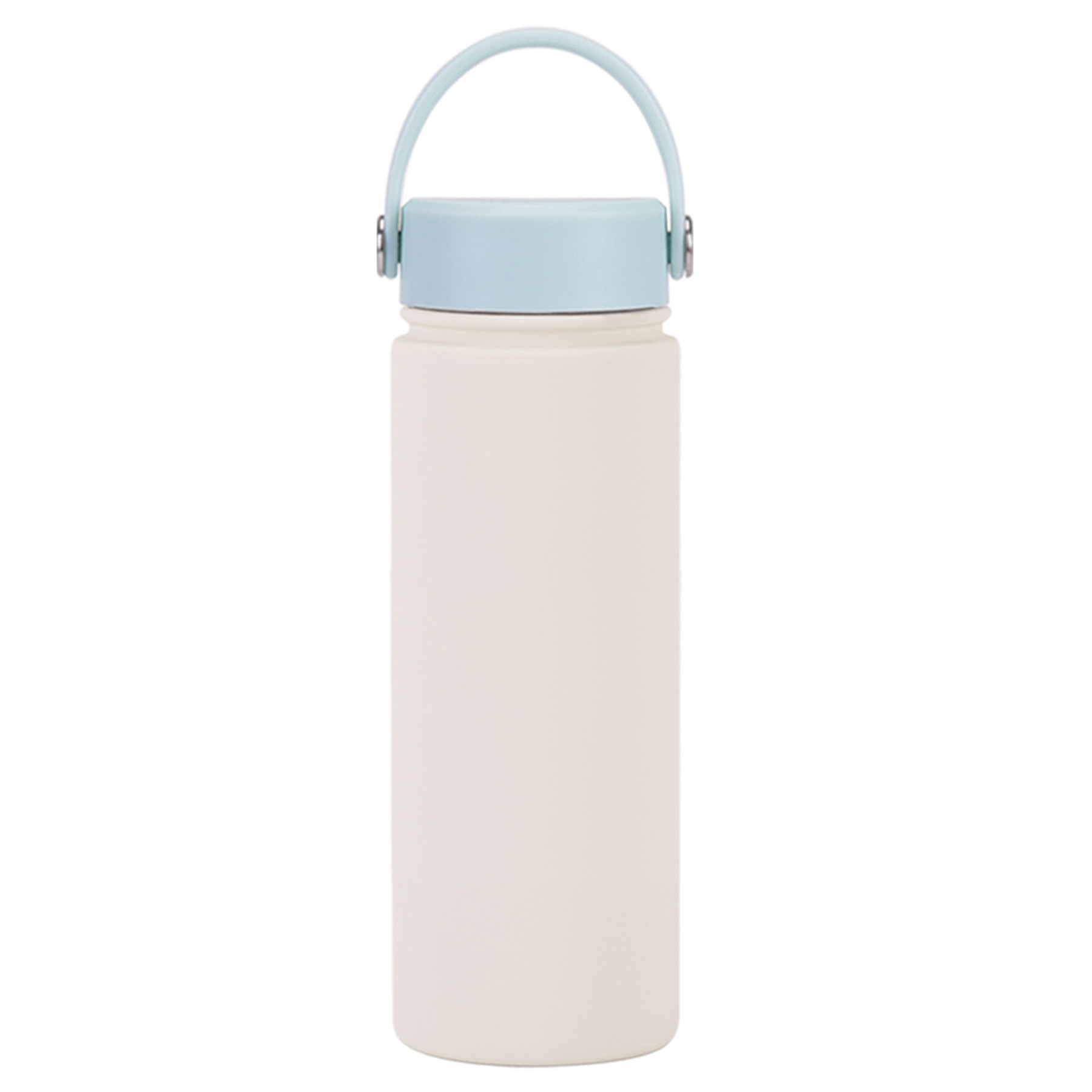 Stainless Steel Travel handled Water Bottle 18