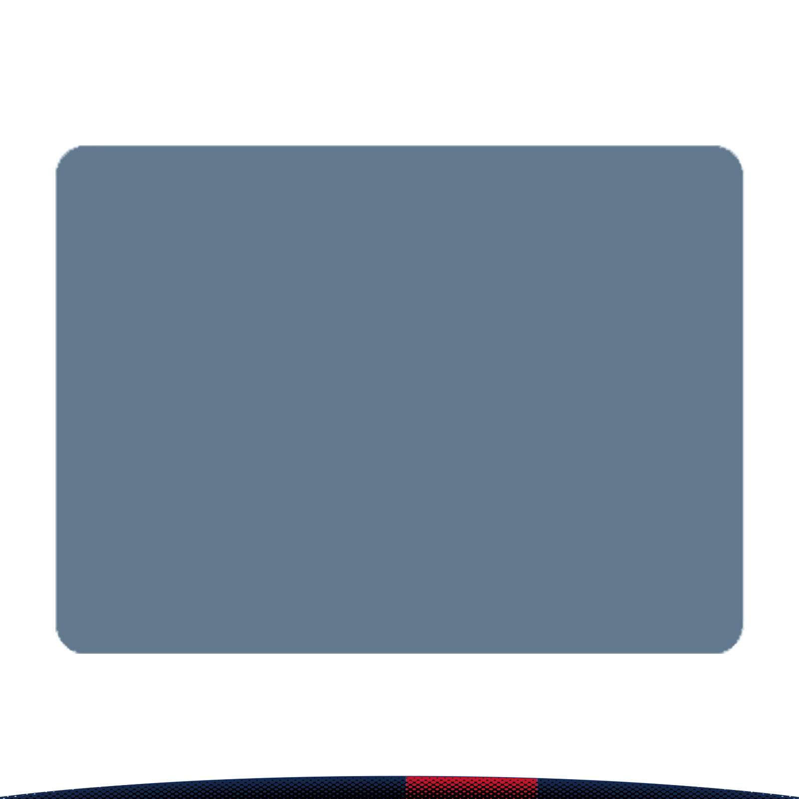 REC Silicone Placemat 4