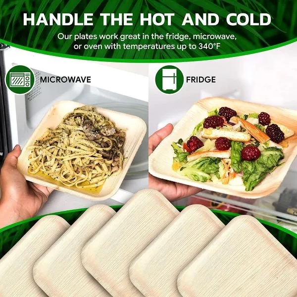 Wholesale Eco-Friendly Palm Leaf Plates 2
