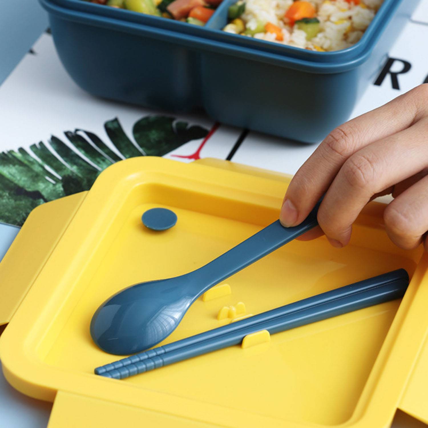 Plastic Lunch Box 1