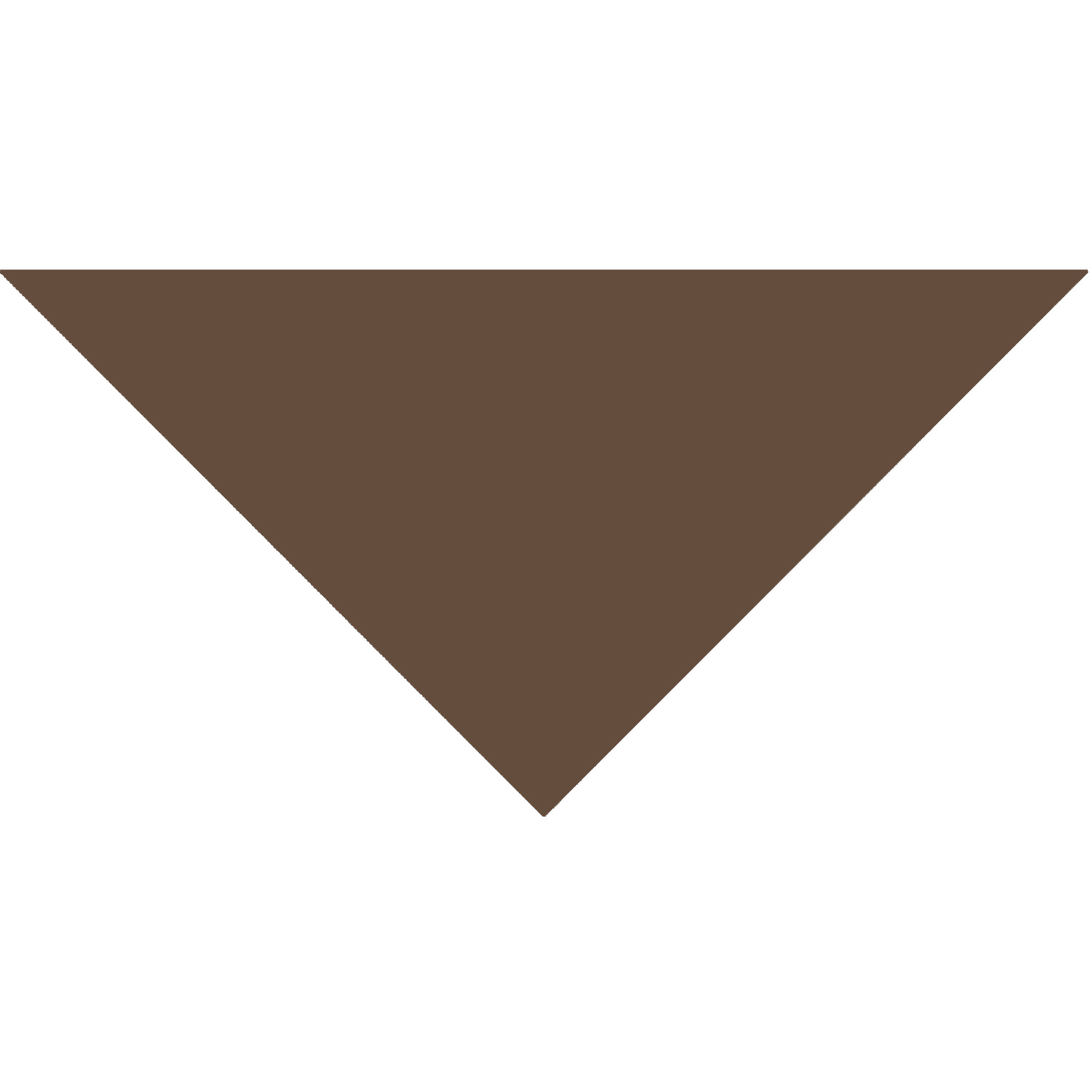 Domestic Pet Bandanna 32