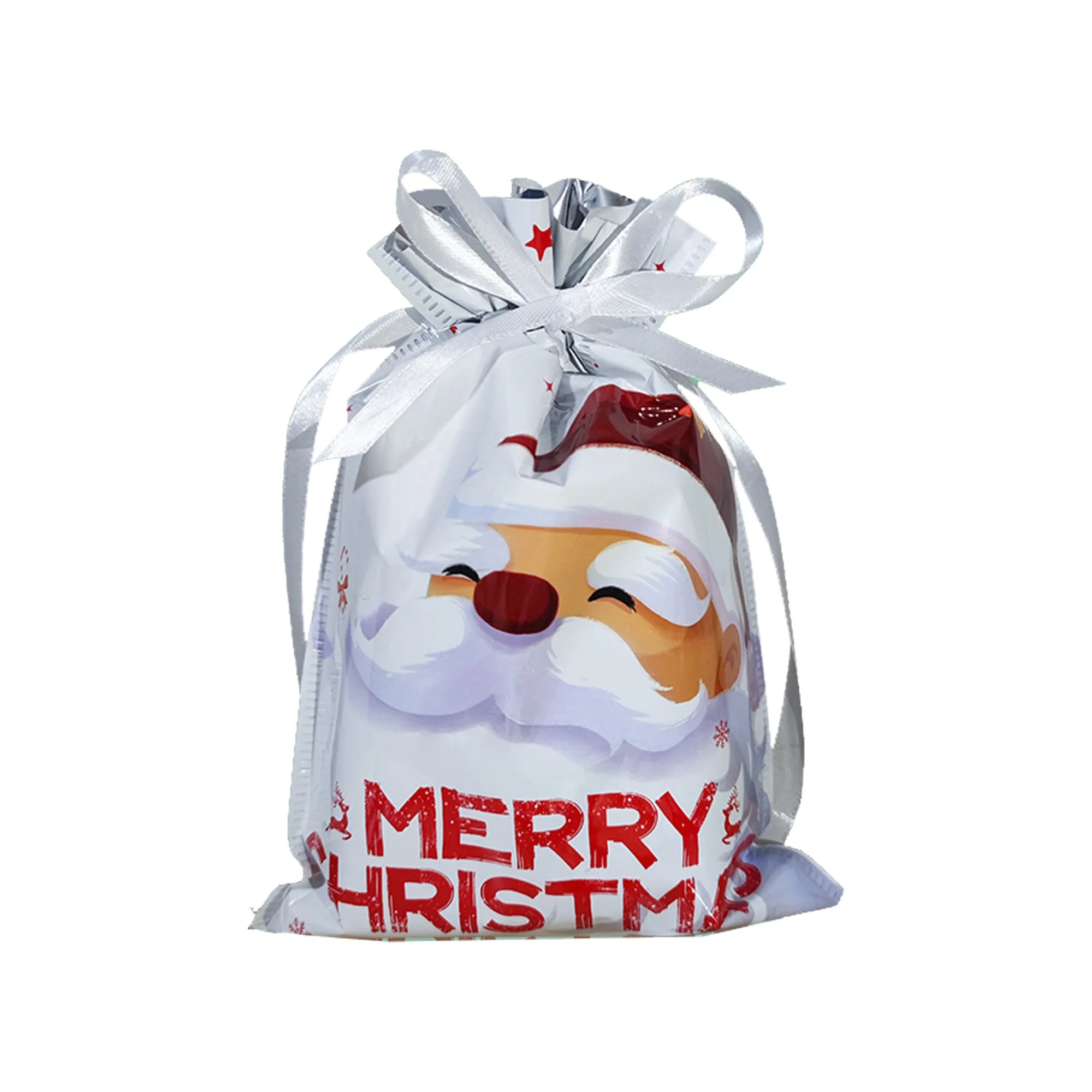 Christmas Gift Bags Assorted Size 4