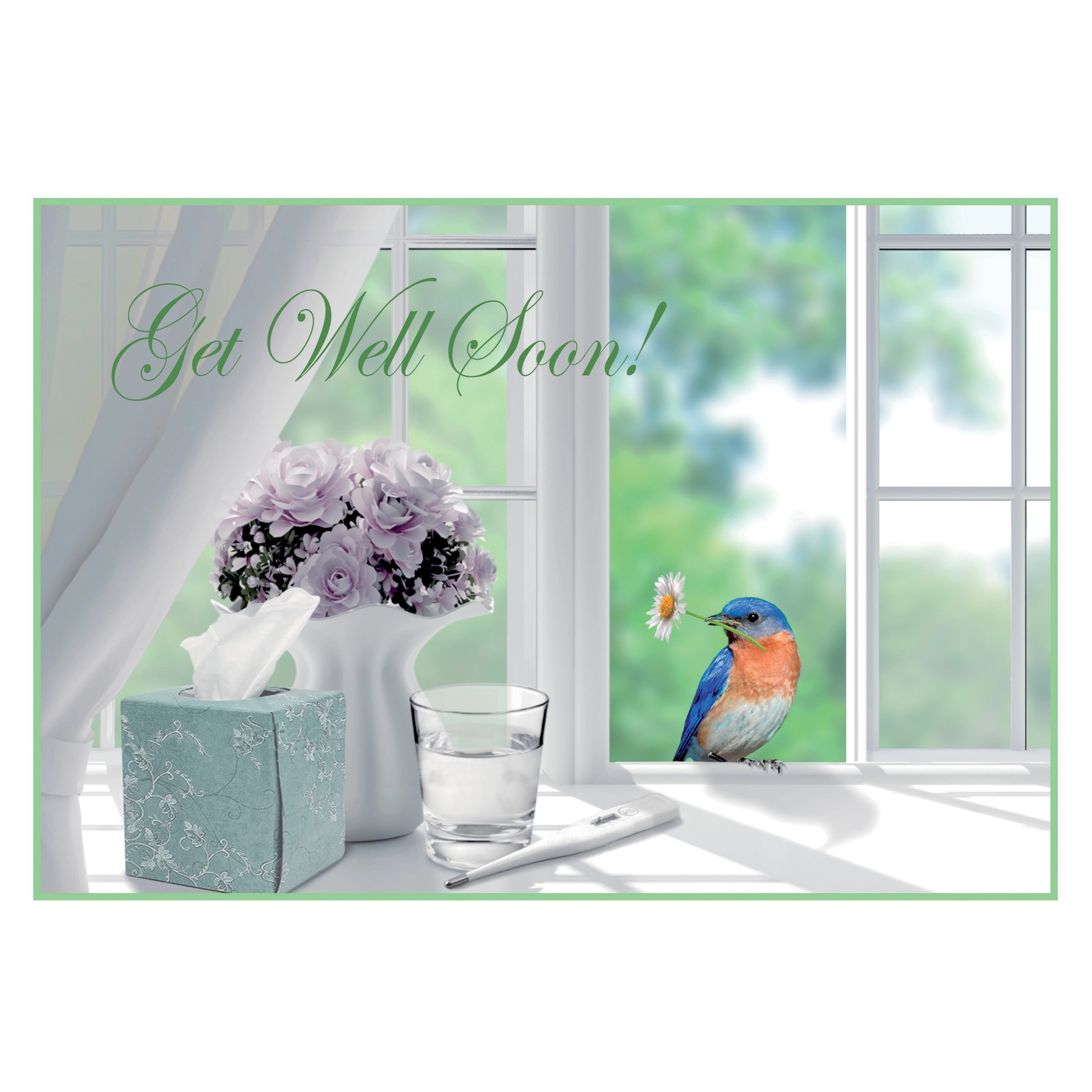 Darling Visitor Get Well Cards 2