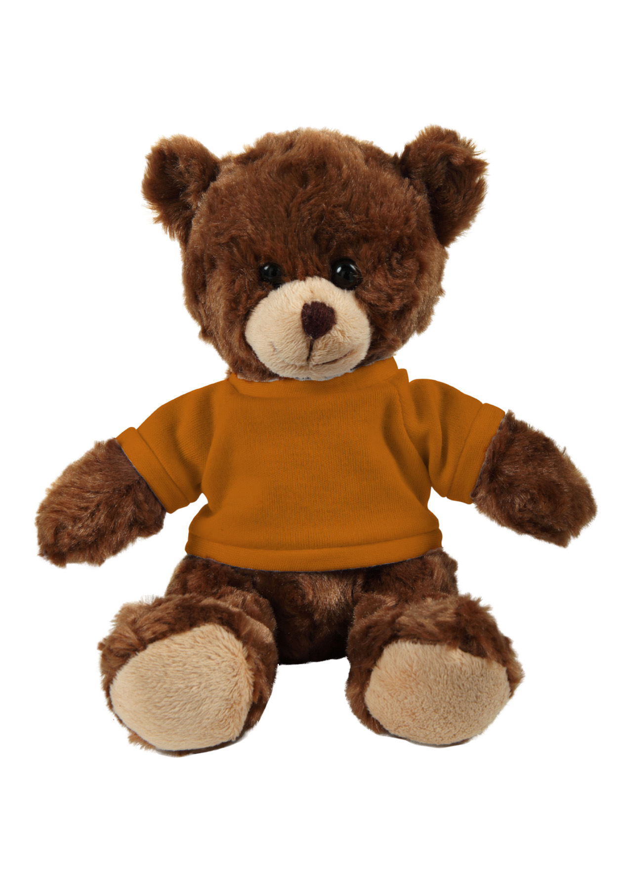 soft plush  Chocolate Curly Sitting Bear with t-shirt 20