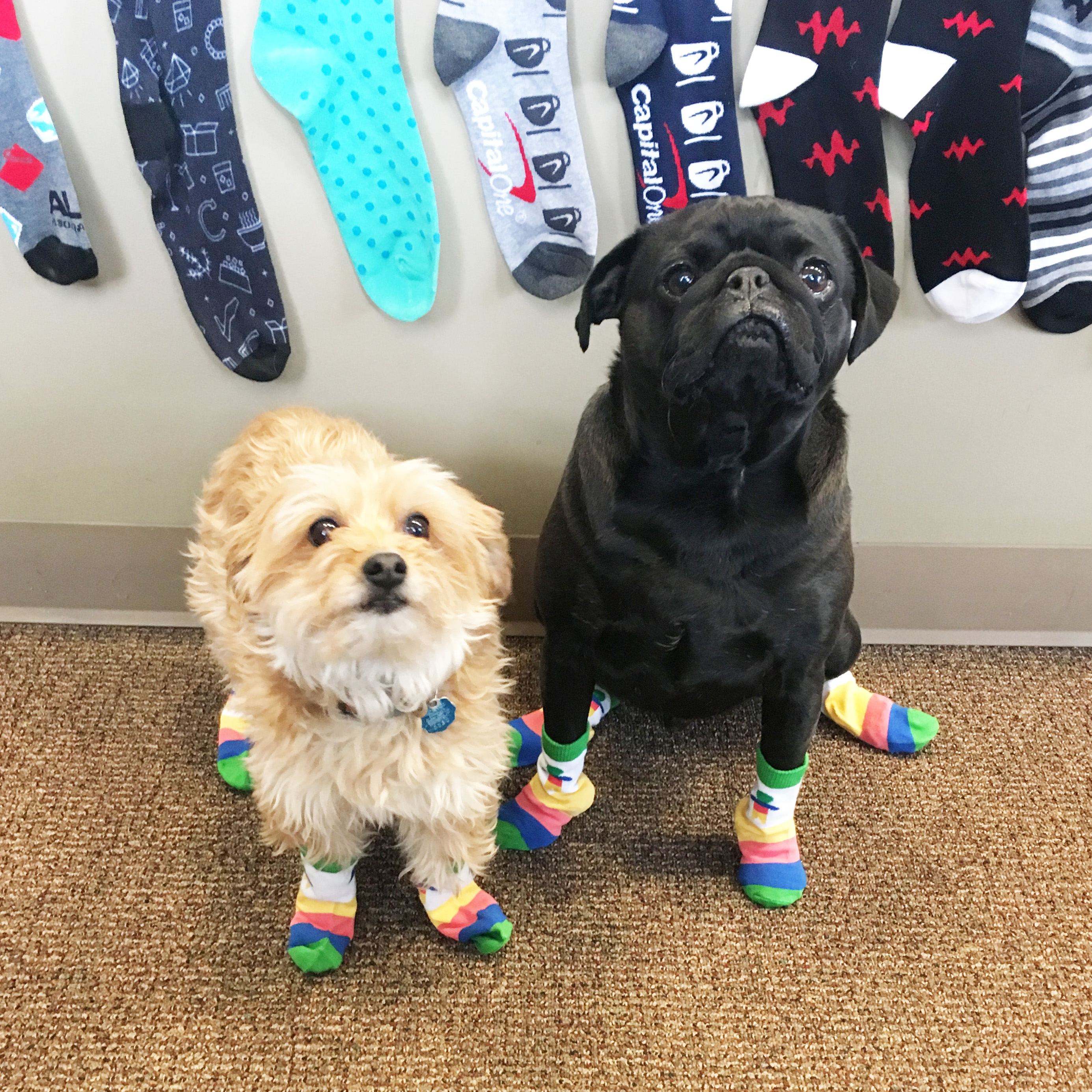 Infant Baby Socks 4