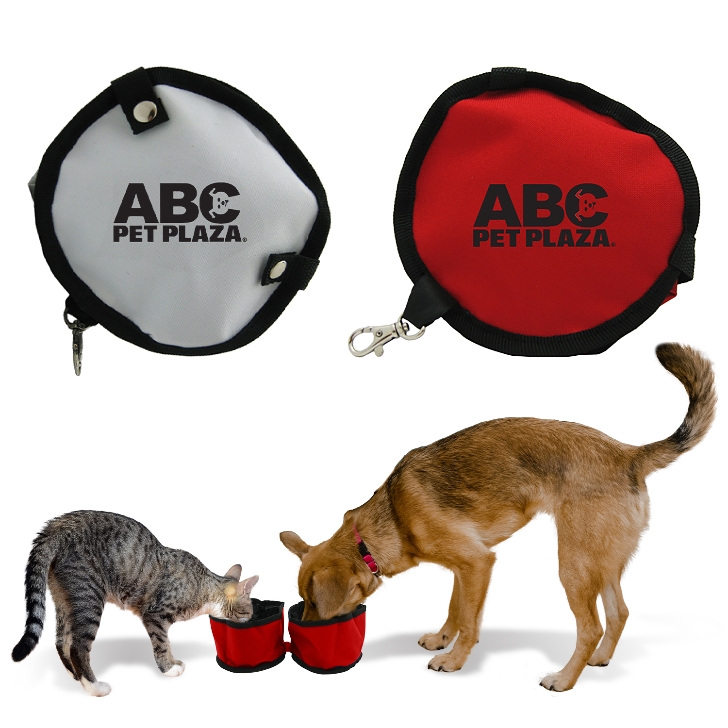 Dual Pet Bowl 6