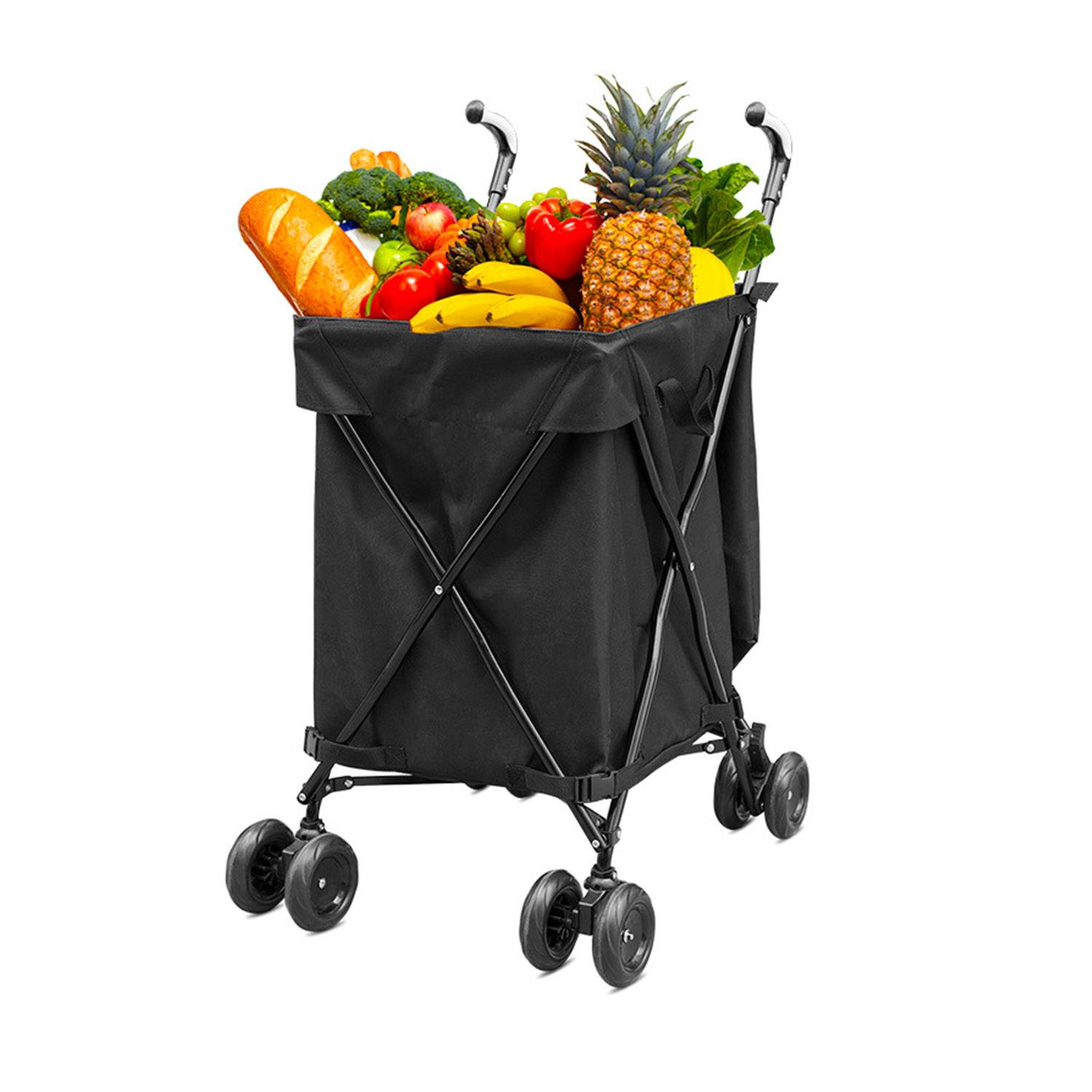 Foldable Hand Trolley 5