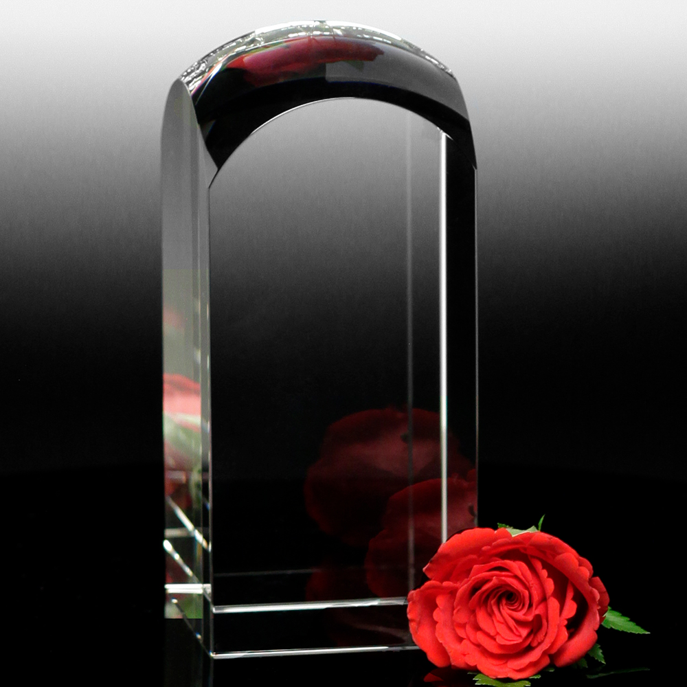 Dome Award 5