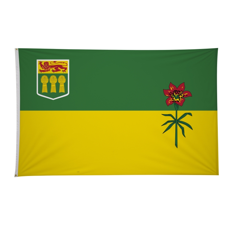 5' x 8' International Flags 102