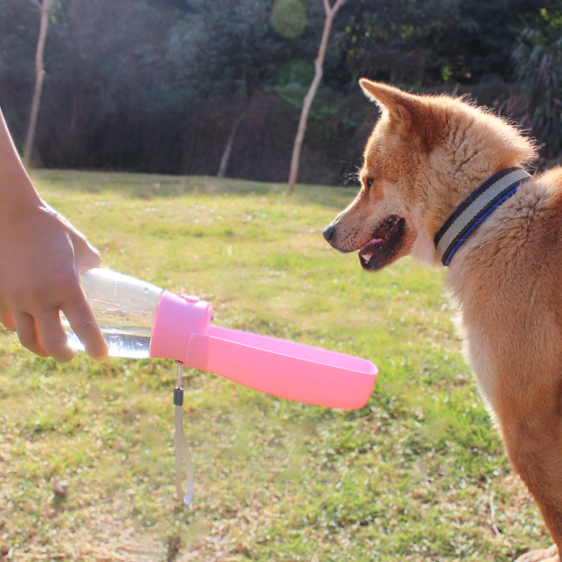 Foldable Pet Water Bottle 2