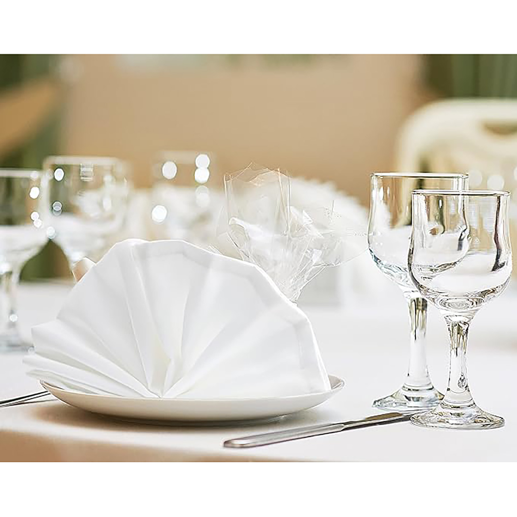 Cloth Napkin 9