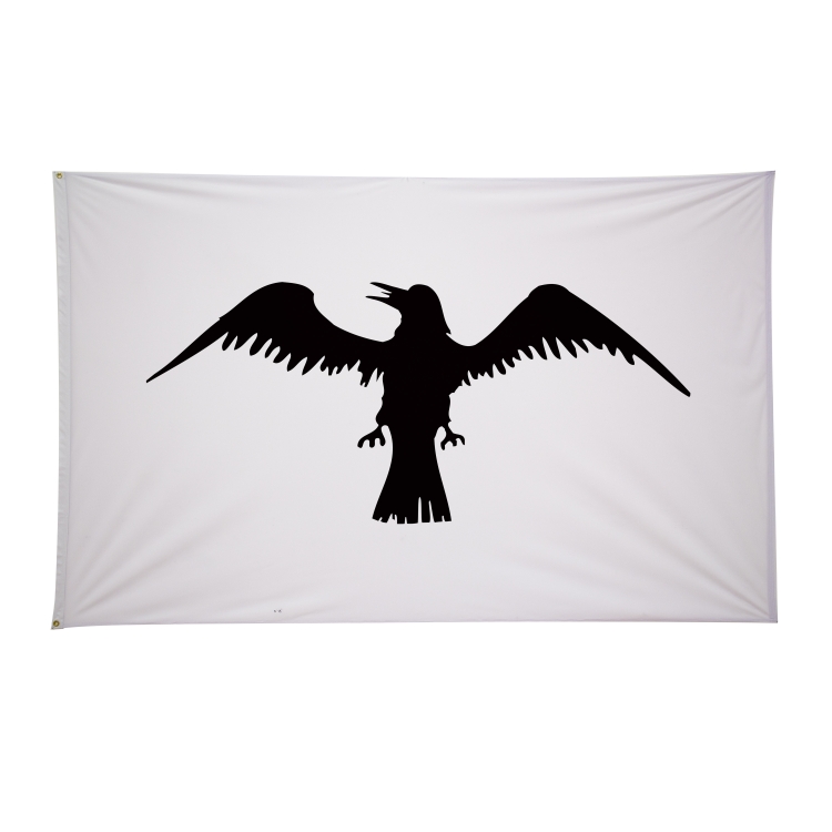 5' x 8' Historical Flags 34