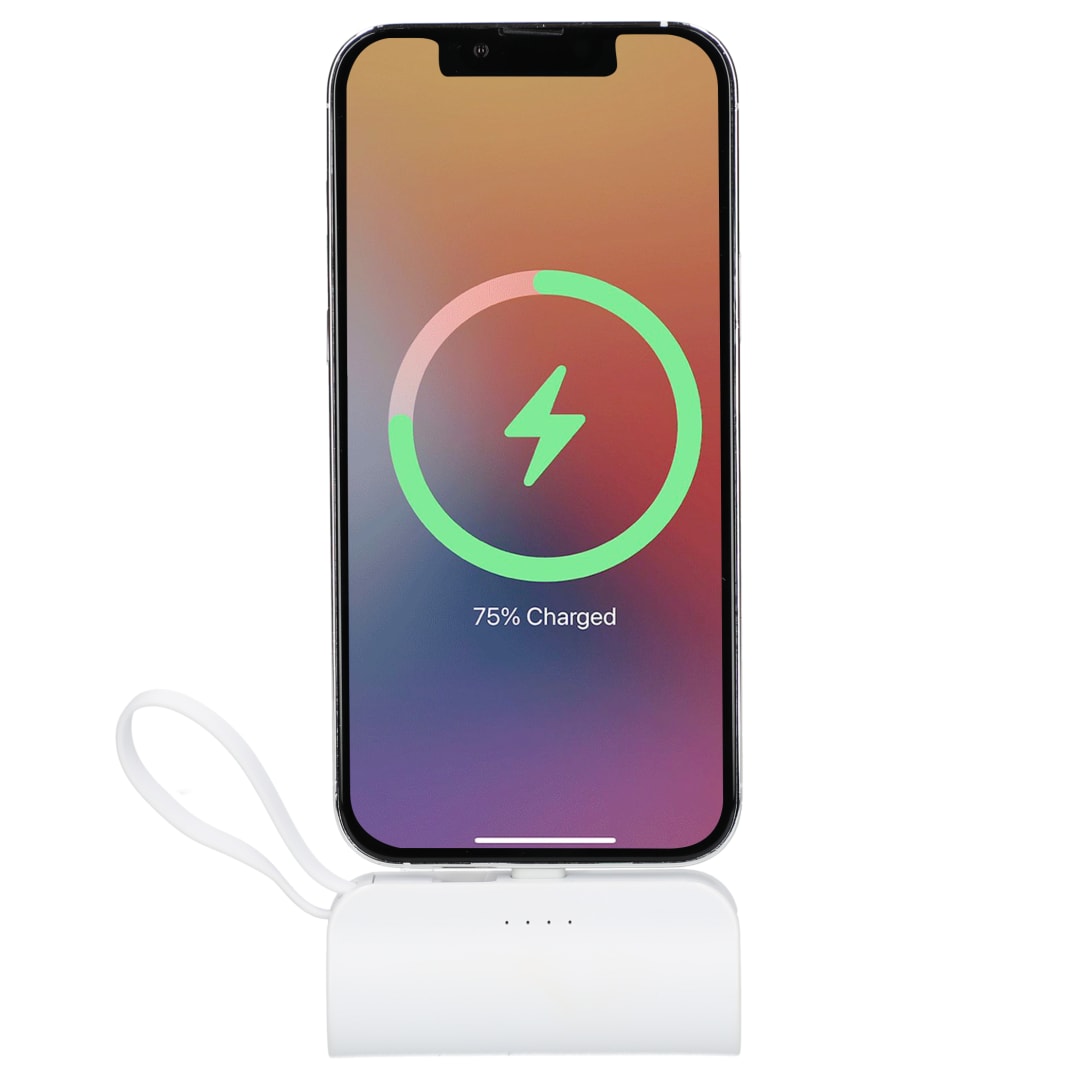 Hue 5000 mAh Power Bank with Multi Tips 113