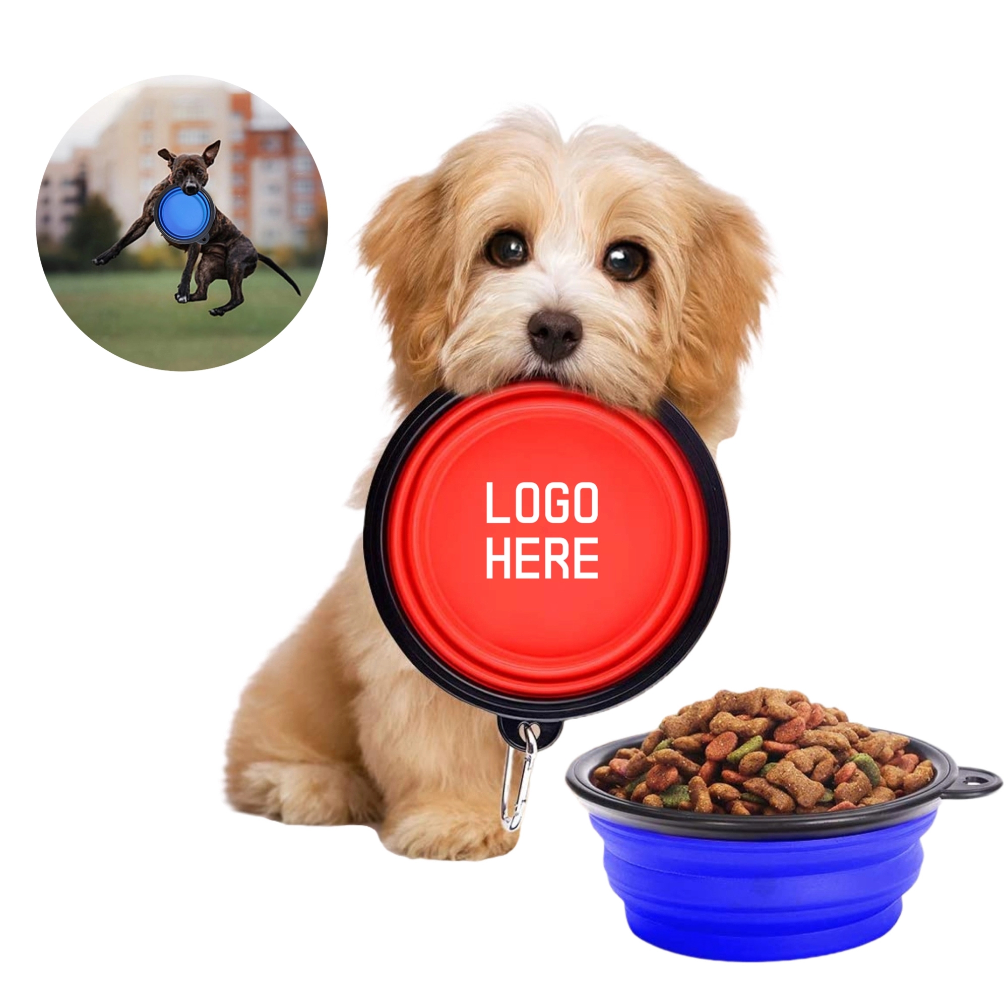 MOQ 50 Multifunctional Collapsible Pet Bowl 6