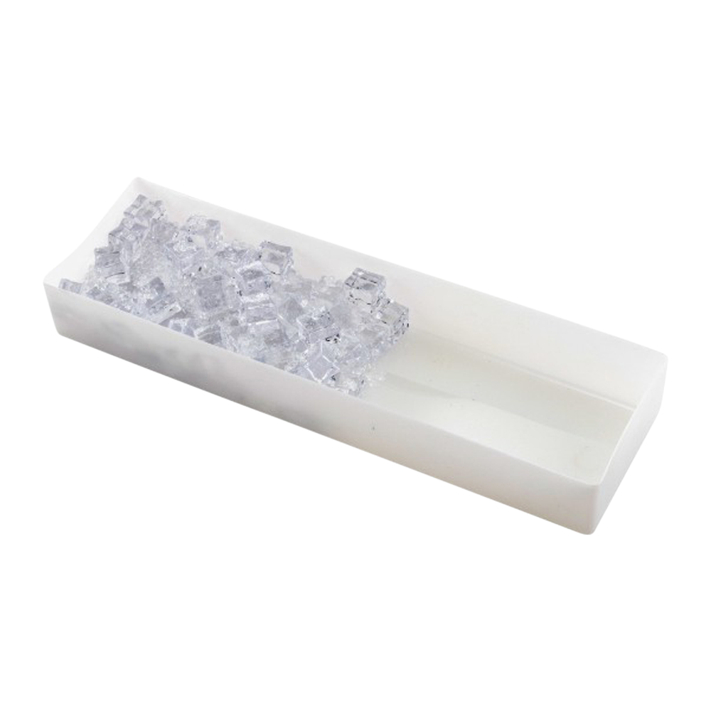 Condiment Caddy Ice Tray Insert 2