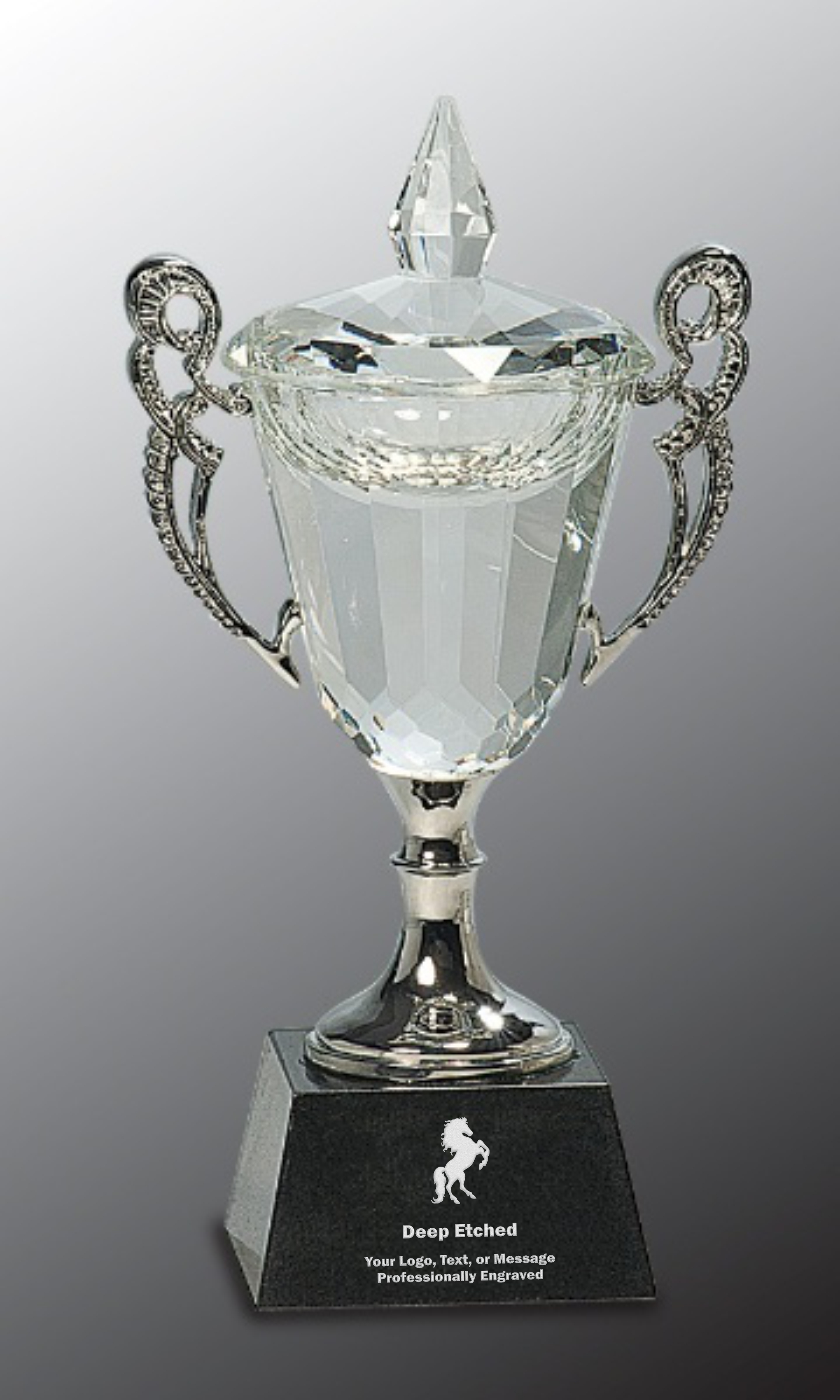 8" Crystal Cup with Silver Handles and Stem Crystal Award
