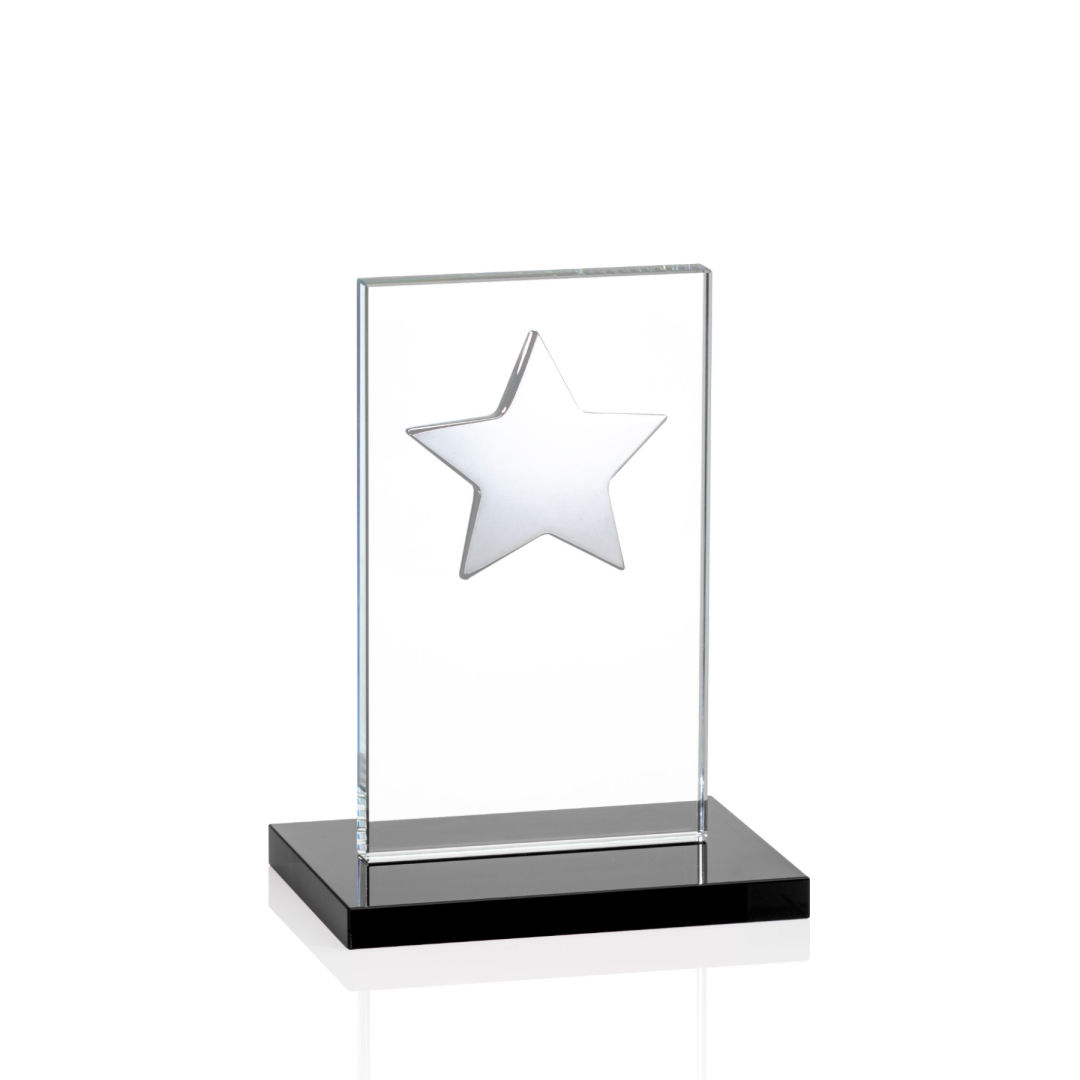 Dallas Star Award - Black/Silver 8