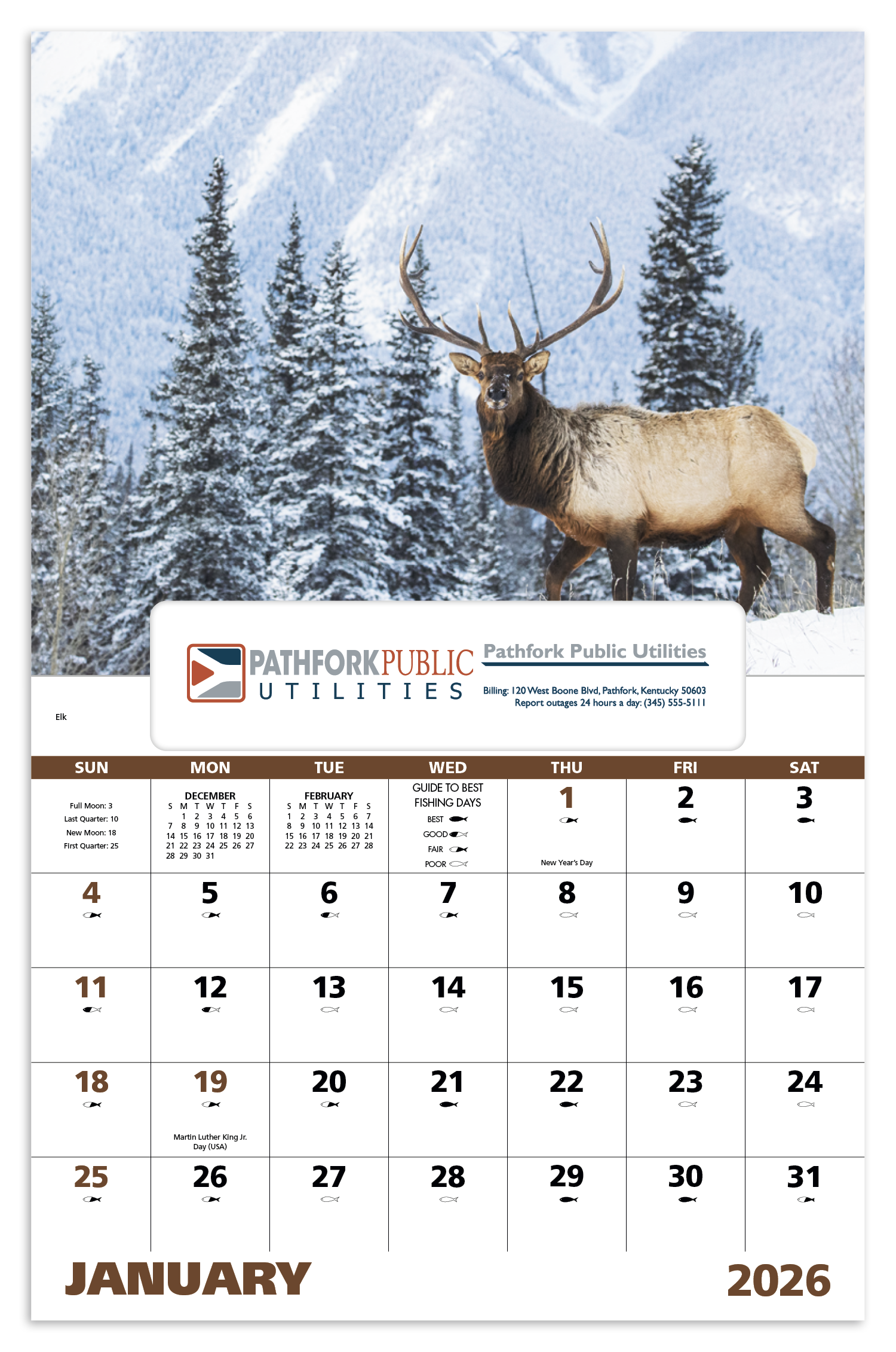 Good Value™ Wildlife Portraits - Window Calendar 40