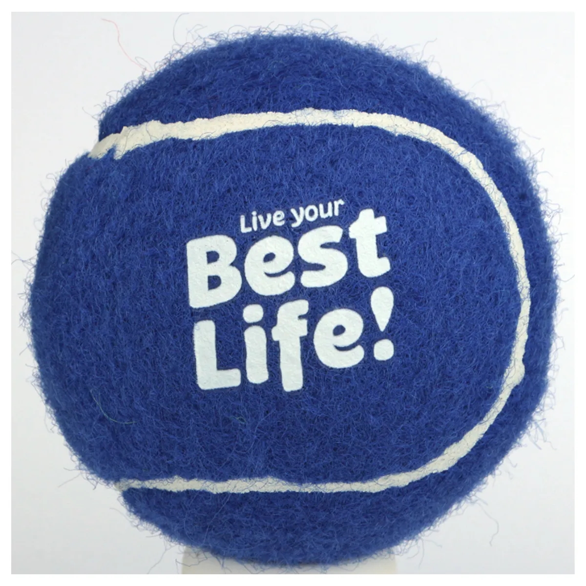 Squeak Dog Toy Tennis Ball Pet Clinic Advertising Favors 6