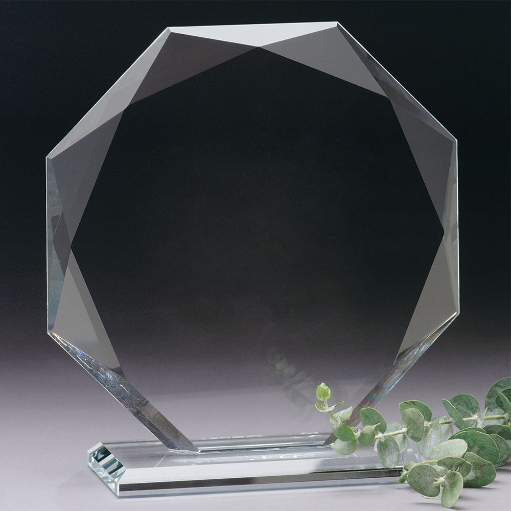 Omni Award 11