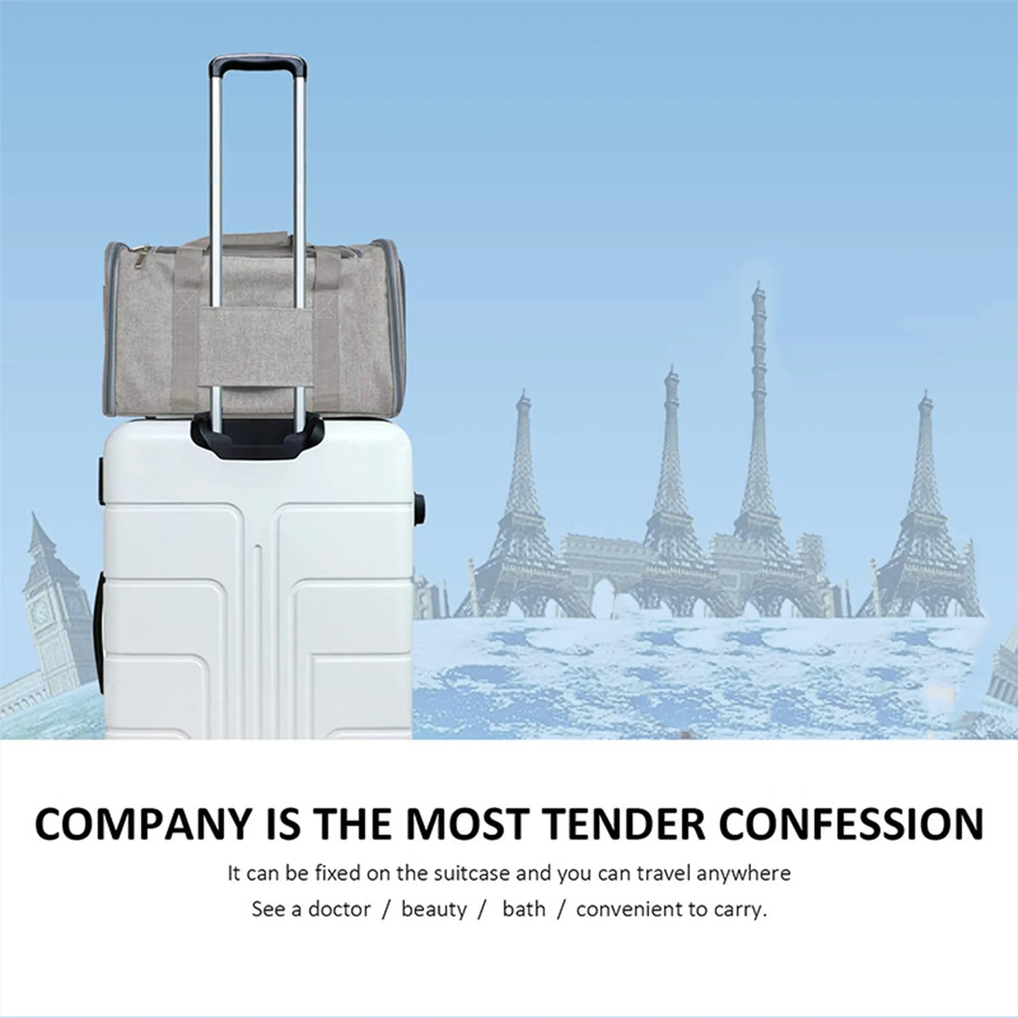 Airline Approved Cat Carrier 5