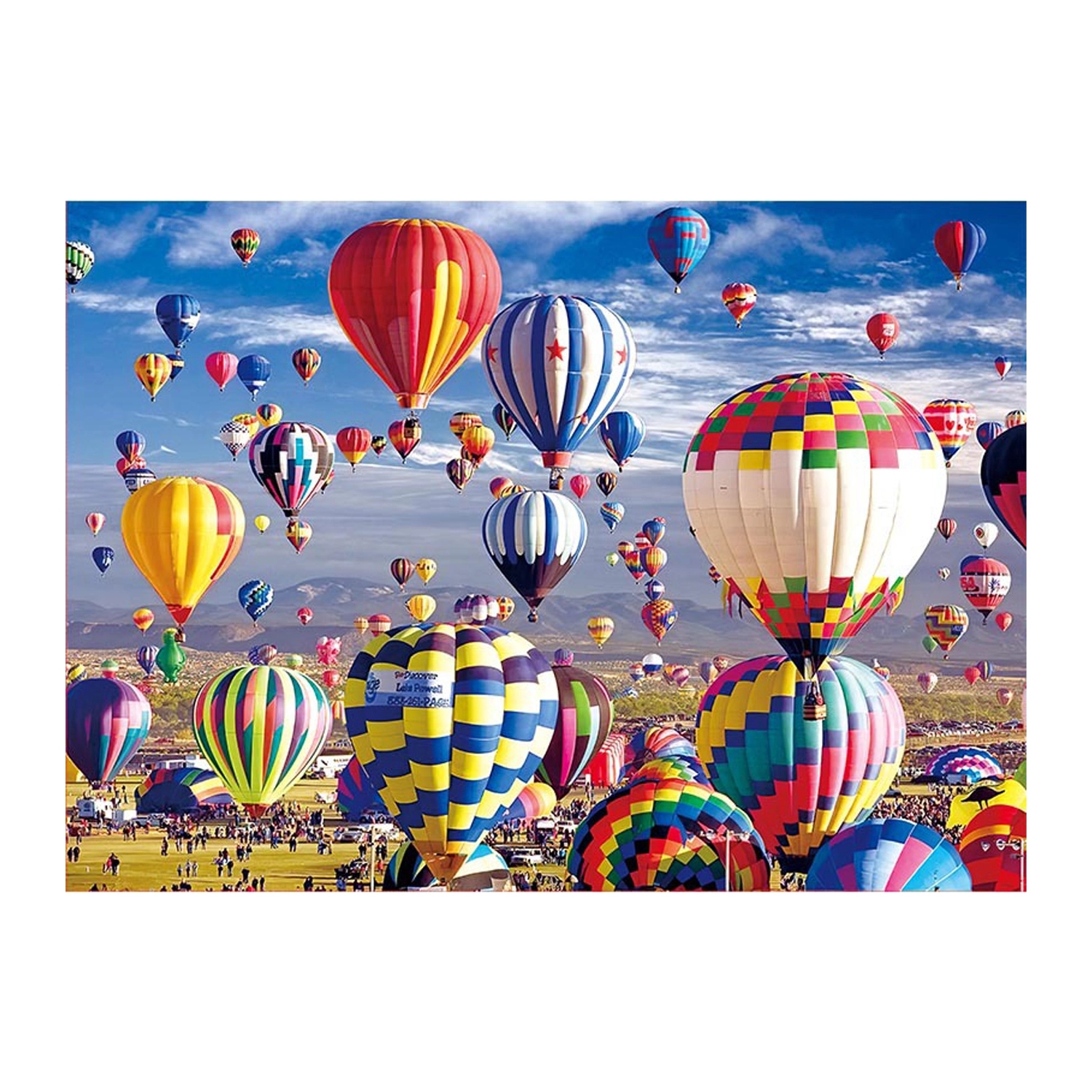 1000 Piece Jigsaw Puzzle 2