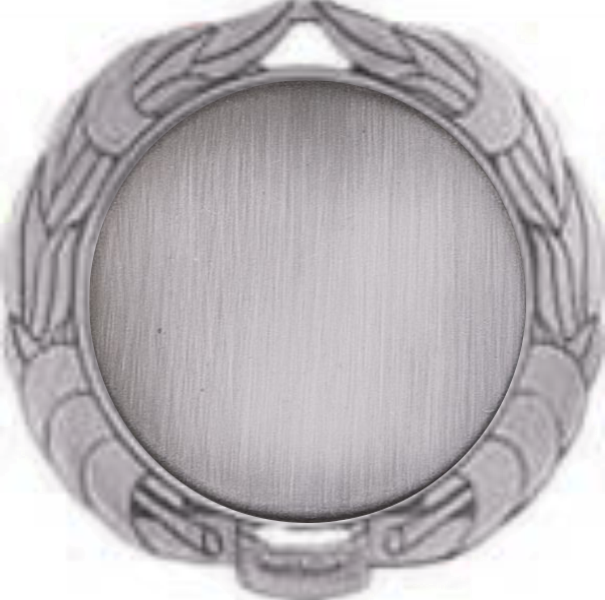 2 3/4" Bronze Wreath Medal w/2" Insert 14