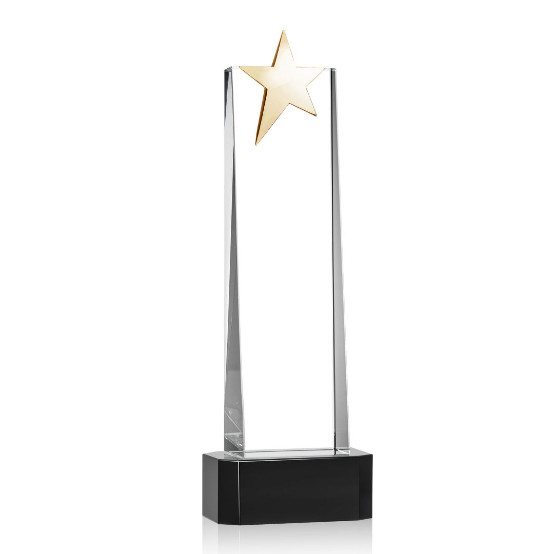 Fanshaw Gold Star VividPrint™ Award on Base - Black 21