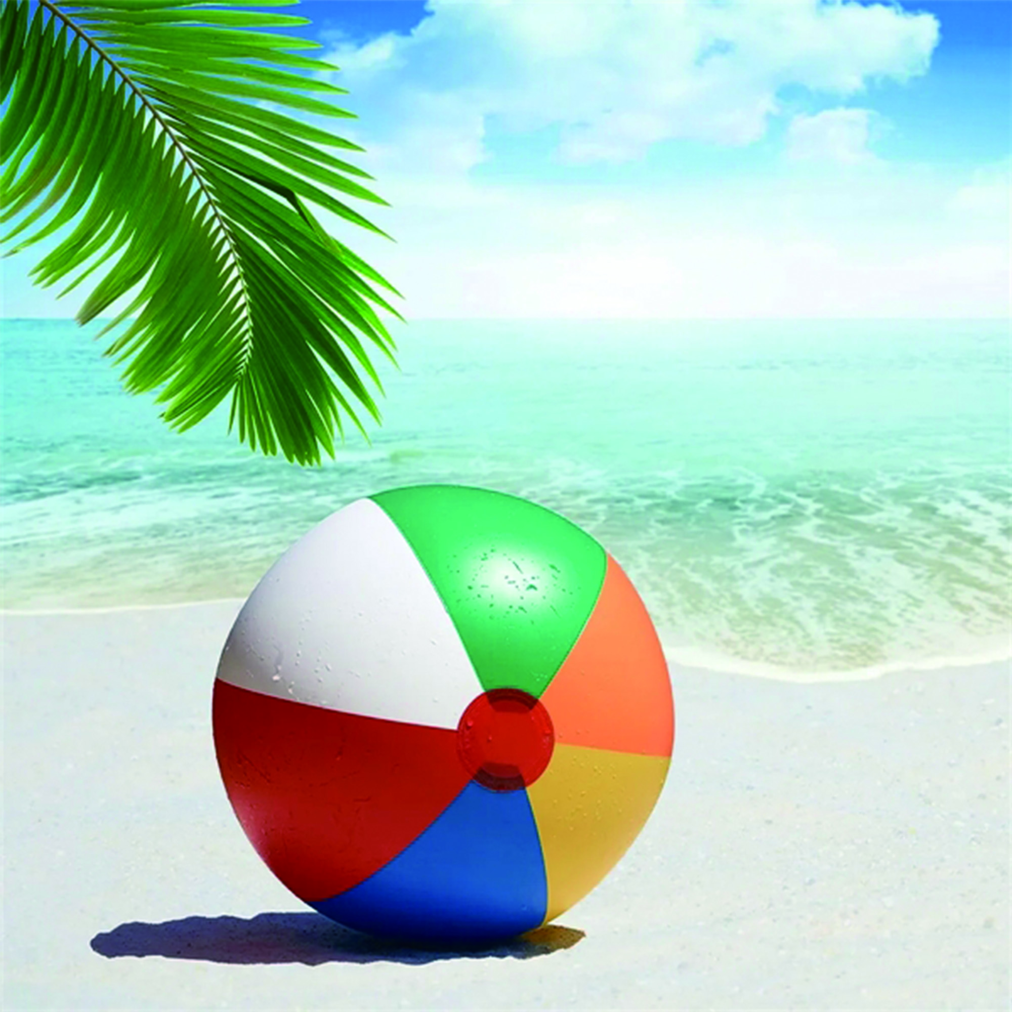 8" Beach Balls 2
