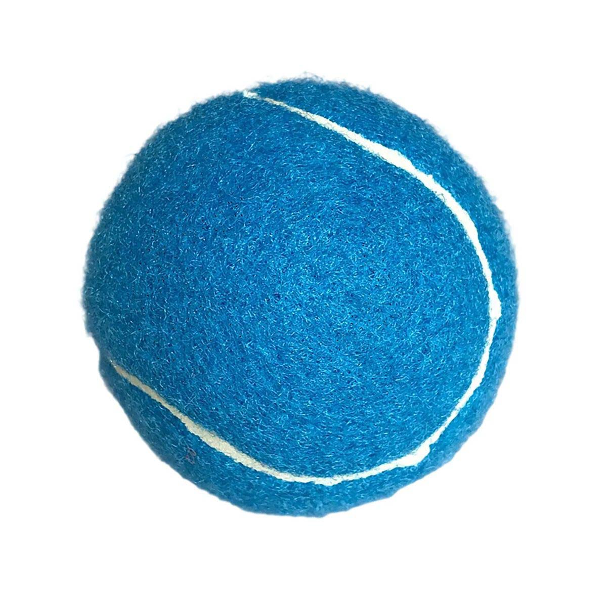 Rubber Pet Tennis Ball for Dogs 2.5 Inch 12