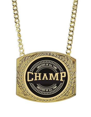 Champ Chain: 6" x 5" Metal Chain with CHAMP Insert 1
