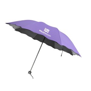 Image Changing Folding Portable Umbrella 42'' Arc 1