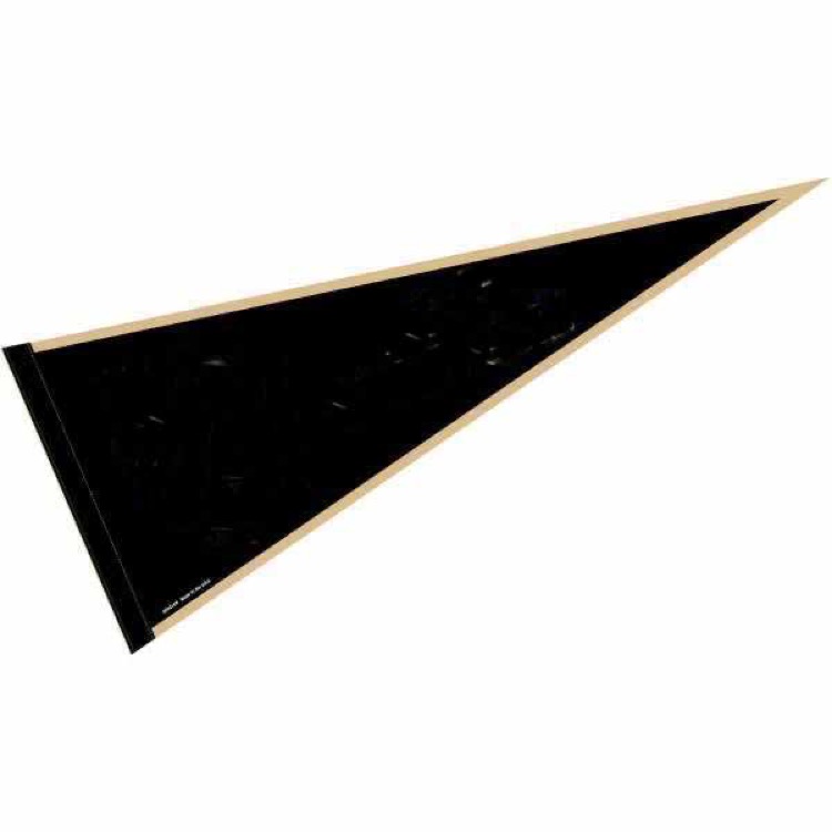 Felt Pennant 1
