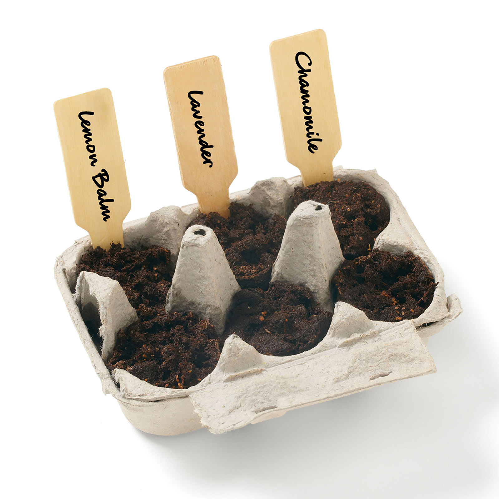 Grow-Your-Own Zen 4