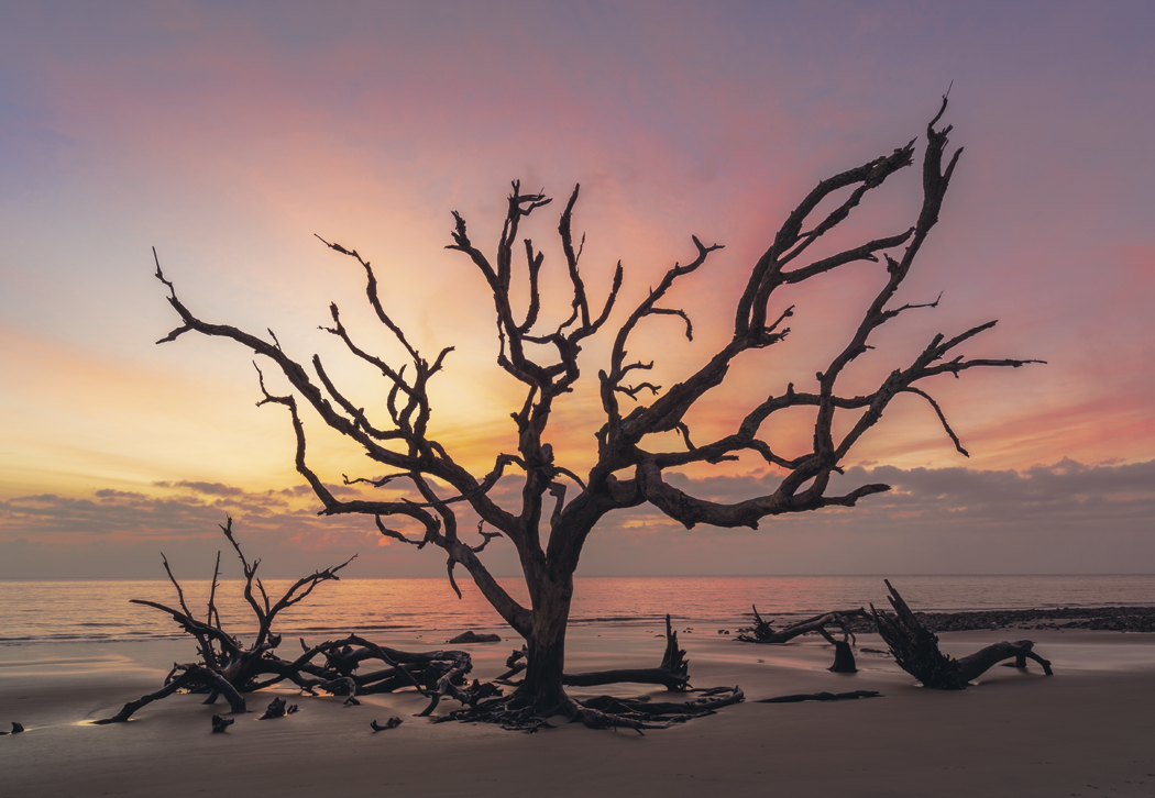 HotLine® Products Our Beautiful America® Executive Calendar 13