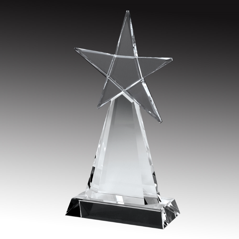Evolving Star Crystal Award