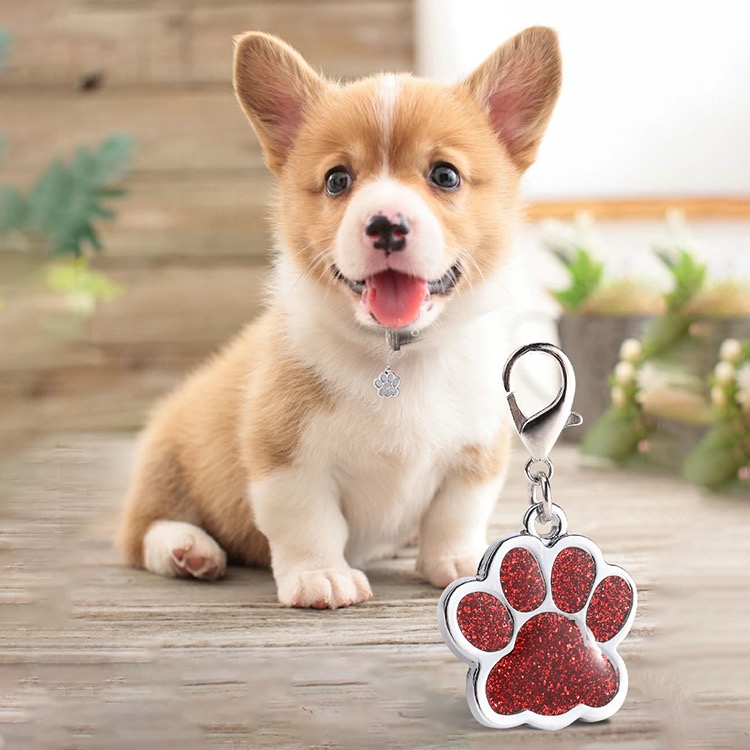 Zinc Alloy Handicraft Pet Anti Lost Tag 12