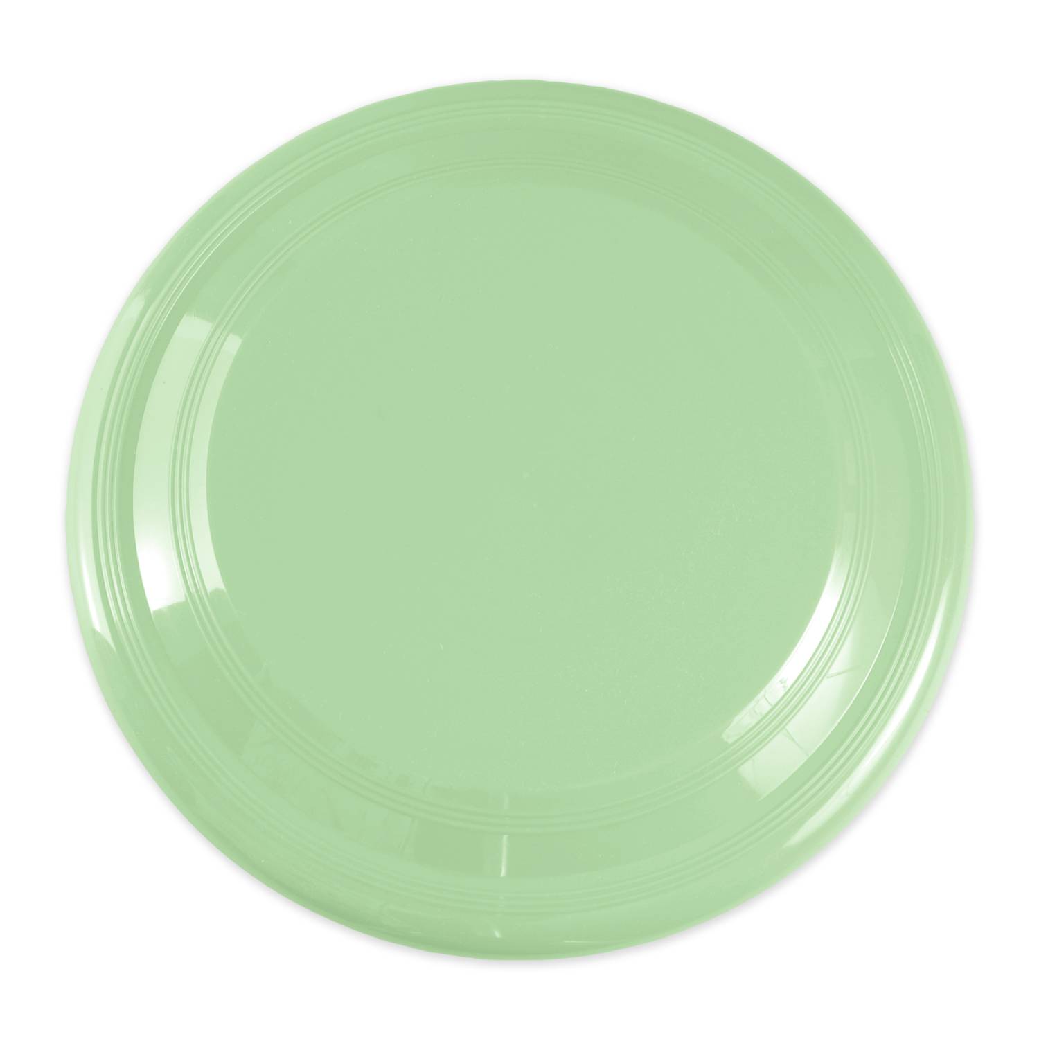 9 inch Luminous Glow in Dark Flying Disc 2