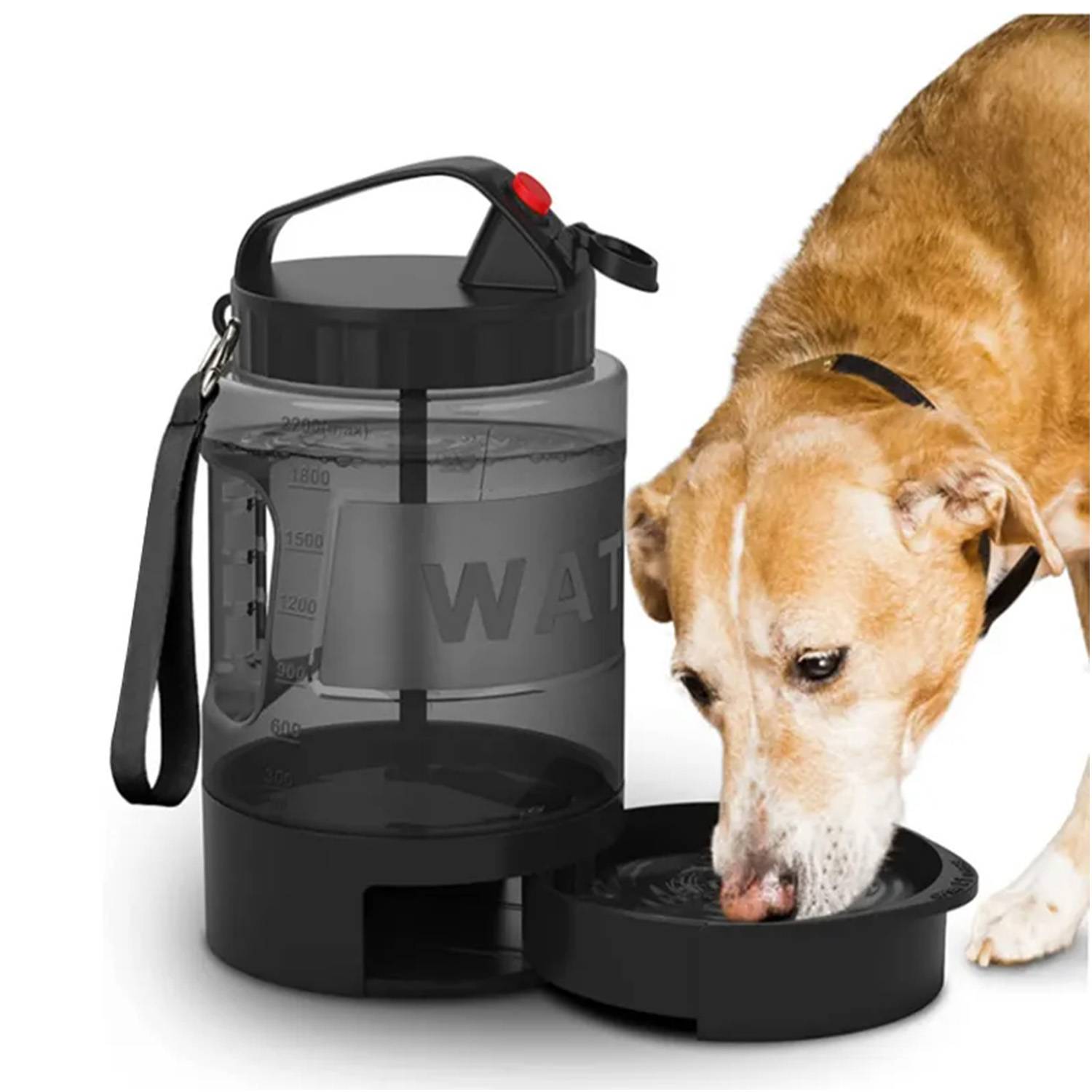 77oz Large Capacity Pet Water Dispenser Bottle for Outdoor 6