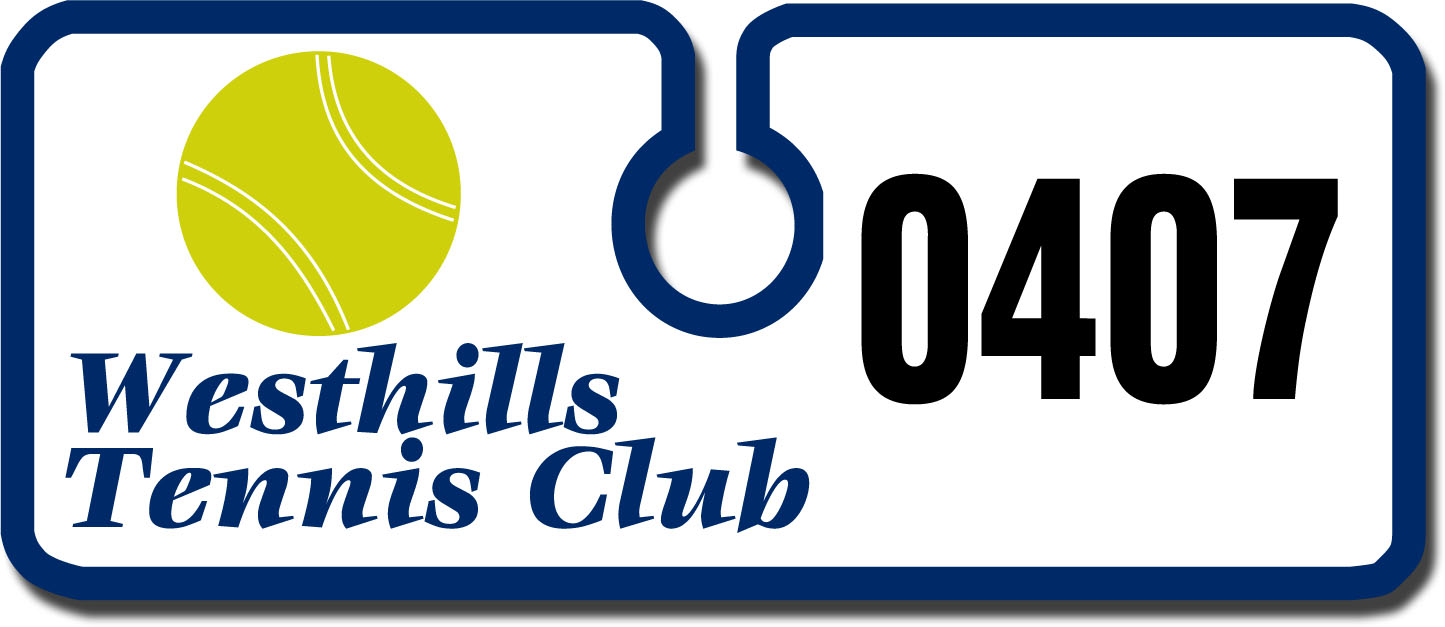 Plastic Security Hang Tag (4 3/4"x2") 2