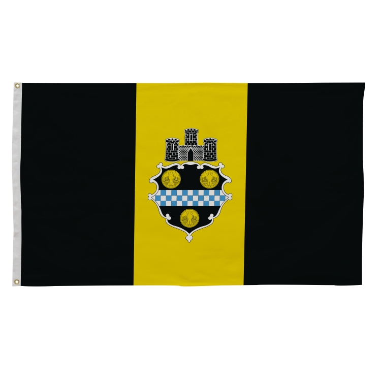3' x 5' City Flags 29