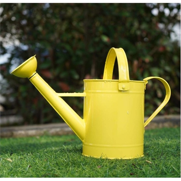 50Oz metal watering cans 5