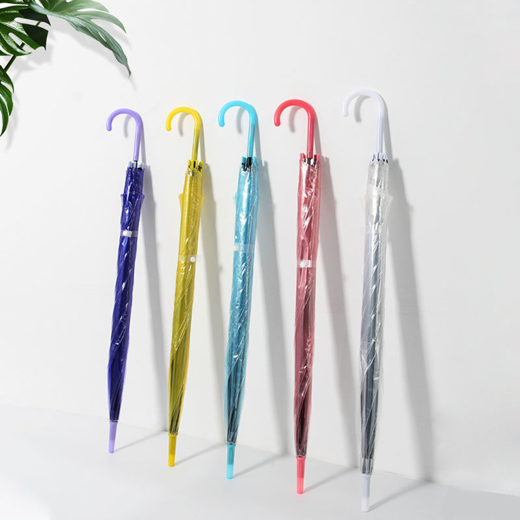 PVC Colorful Bubble Umbrella 2