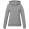 tentree Organic Cotton Banshee Hoodie - Women's 22