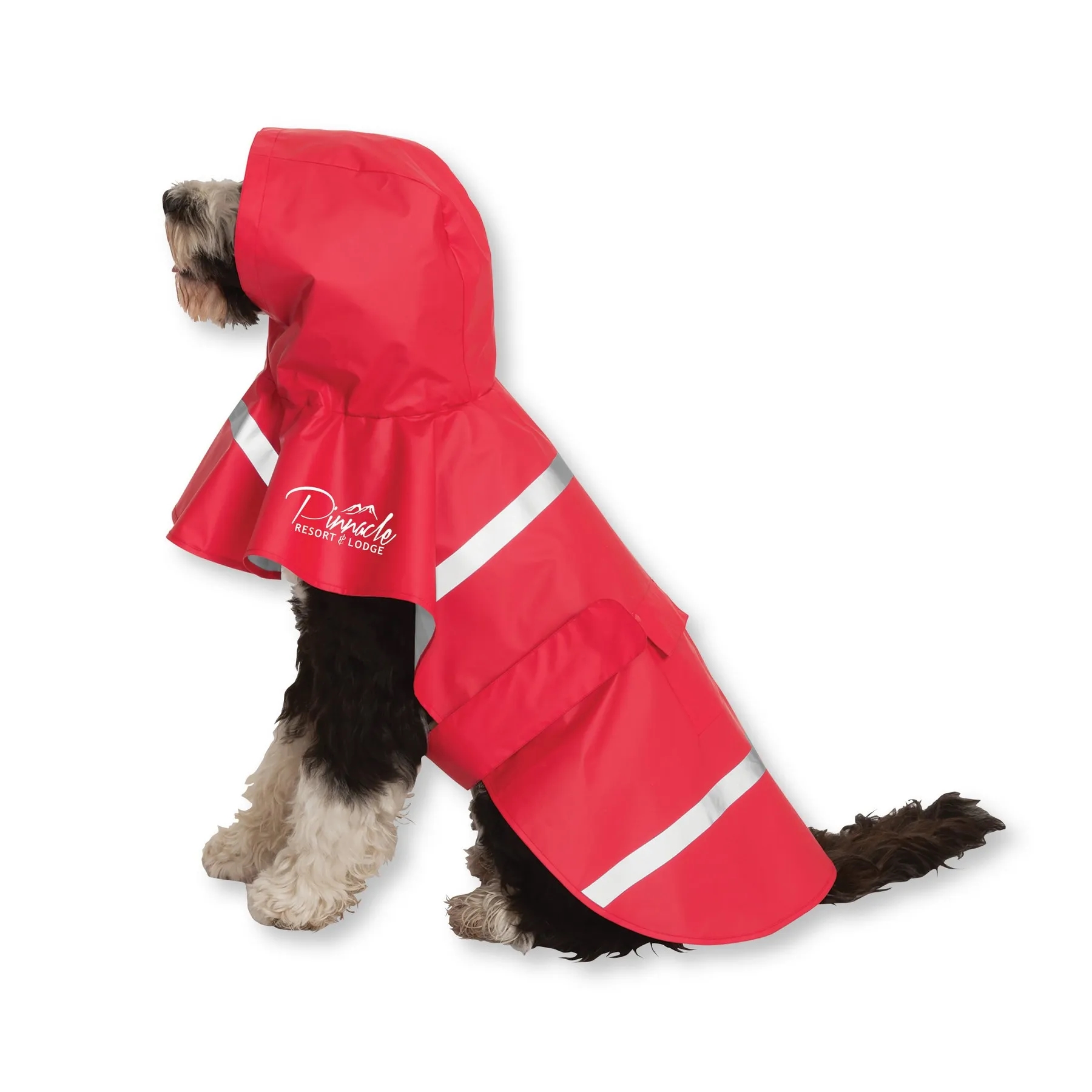 Pet Raincoat MOQ 100 2