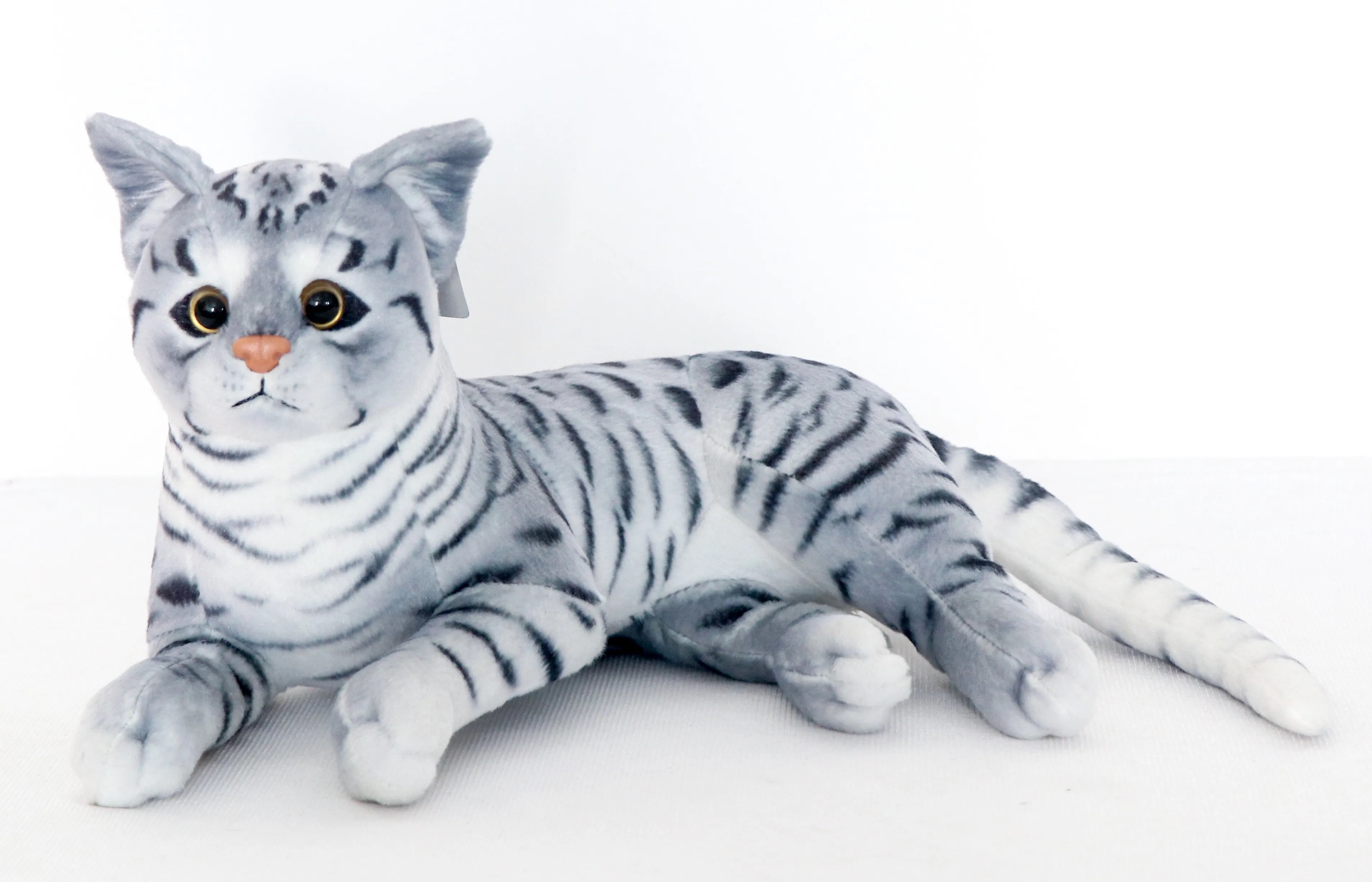 Gray Laying Cat 1