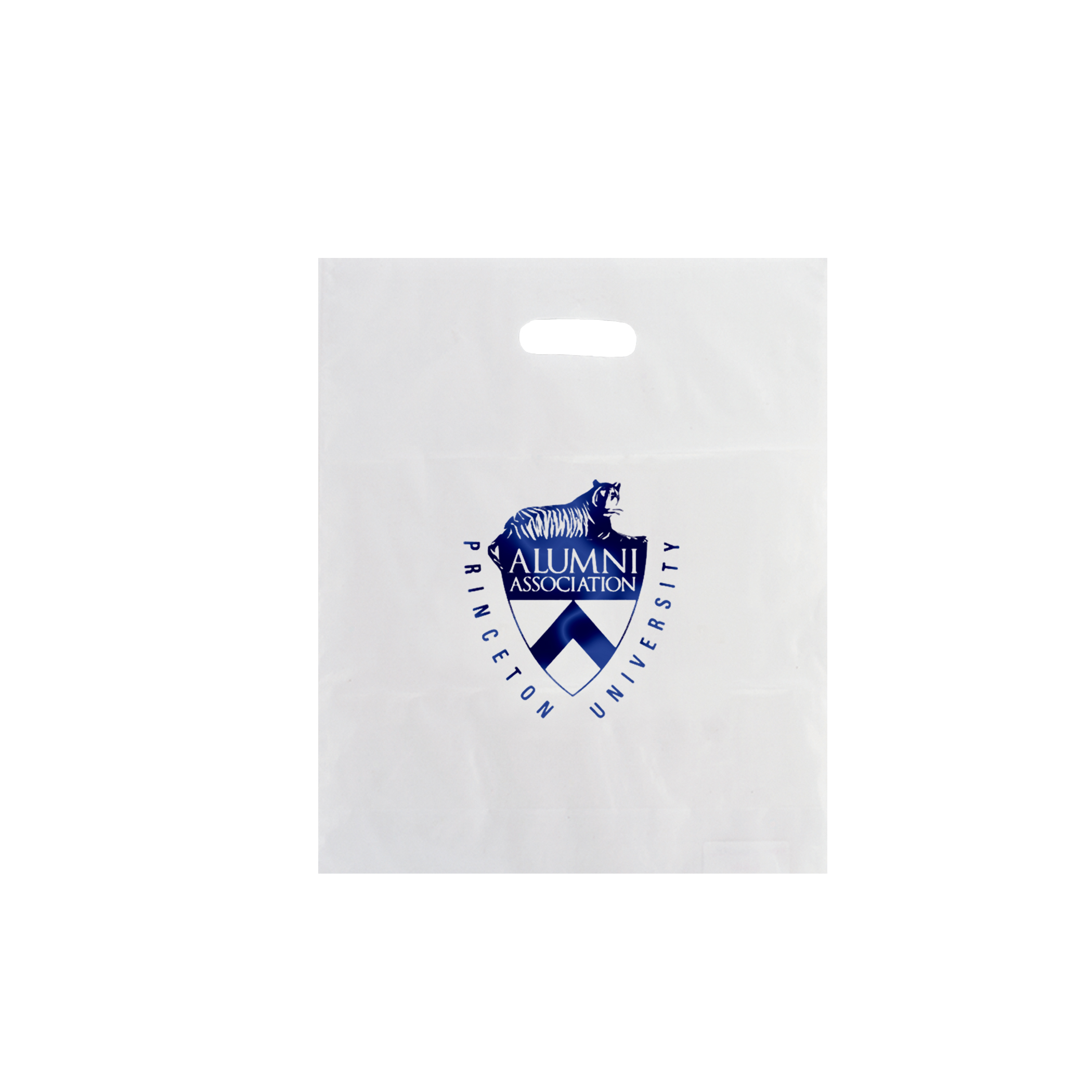 Non Reinforced HDPE Frosted Die Cut Bag 15