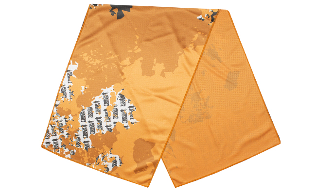 Full-Color Polar Towel