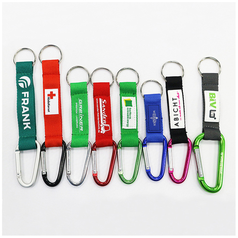 Keychain With Carabiner 2
